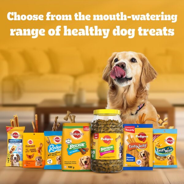Pedigree Biscrok Biscuits (Above 4 Months) Dog Treats, Chicken with Milk Flavour, 900 g, Source of Calcium, Goodness of 15% Protein
