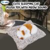 FunBlast Cute Sleeping Cat Plush Toy with Meow Sound, Gift for Kids, Toy Accessories for Car Dashboard (Brown-2)