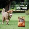 Rena Max Chicken Bacon Strips For Dog Of All Life Stages, BBQ, 130G