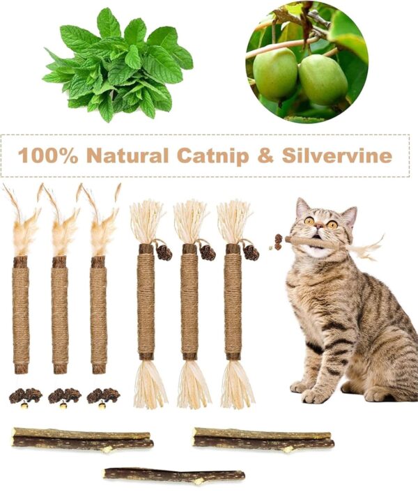 11 Pcs Cat Teething Toys Set, Kittens Catnip Cat Playing Toys for Daily Fun Cat Teething Toys Toys for Cats with 3 Varieties Durable Design for Cat Indoor Use and Daily Play