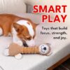 Dog Toy with Sound - Plush Chew & Squeaker & Crinkle Toy - Interactive Chew Toy - Non-Toxic Play Dog Toy - Small Medium & Large Dogs - Long Neck Toys for Dogs (Long Neck Bear (Brown))