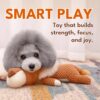 Dog Toy with Sound - Plush Chew & Rope Toy for Dogs - Squeaker & Crinkle Toy - Interactive Chew Toy - Durable Non-Toxic Play Dog Toy - Small Medium & Large Dogs