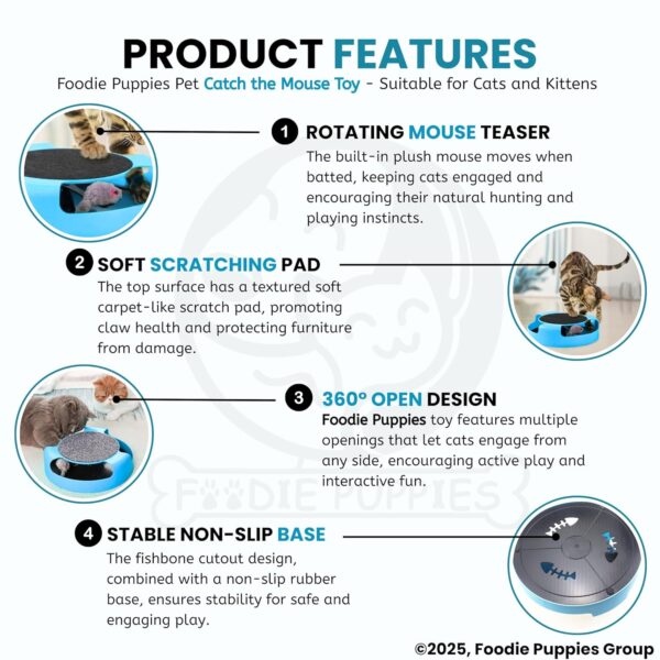 Foodie Puppies Interactive Catch Mouse Cat Scratcher Toy with Rotating Mouse and Scratching Pad/Mat for Cats & Kittens - (Sky Blue) | Durable, Non-Toxic Plastic Disc for Indoor Cat Claw Care and Play