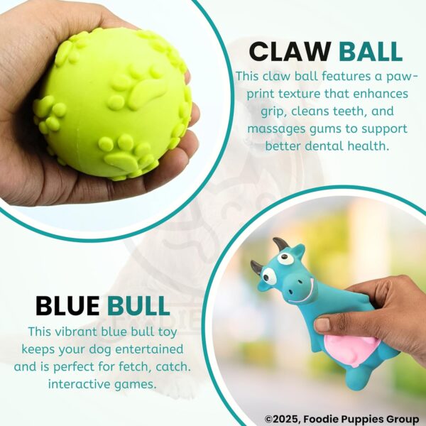 81rK6SPaXwL._SL1500_.jpg Foodie Puppies 2in1 Combo of Latex Squeaky Sound Chew Toy - (Blue Bull and Claw Ball) for Small Dogs & Puppies | Interactive Non - Toxic Durable Rubber Pet Toy for Training, Chewing and Playing