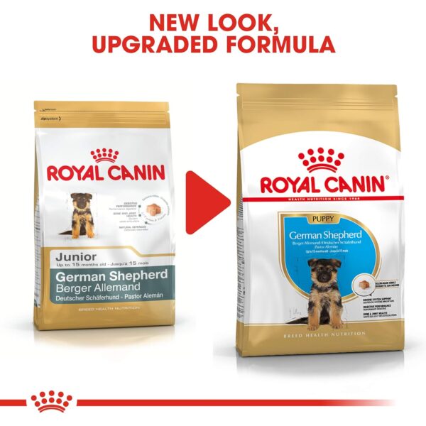 Royal Canin German Shepherd Puppy Food, 1 Kg, Dry Food, Supports Immune System & digestive health, Promotes Bone & Joint Health