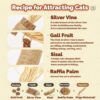 81s6AZgG6L._SL1500_.jpg Sunkizzrs® Huge Silvervine Stick with Sisal Rope & Gall Fruit & Raffia Palm —Matatabi Stick for Cat Teeth Cleaning —Interactive CatnipToy Set —Chew & Scratch Toys for Aggressive Chewers (Φ3 x 38cm)
