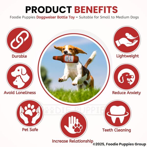 Foodie Puppies Squeaky Plush Toy for Dogs & Puppies - (Doggweiser Bottle Toy, 27cm) | Non-Toxic, Stuffed, Teething, Playful, Interactive, Soft, Chew Toy for Small to Medium Dogs