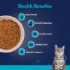 81soxjEUxZL._SL1500_.jpg Fresh Fish & Shrimp Adult Dry Cat Food 1 Kg | Fresh & Natural Ingredients | Highly Palatable | Supports Healthy Skin & Glossy Coat | Premium Nutrition for Adult Cats