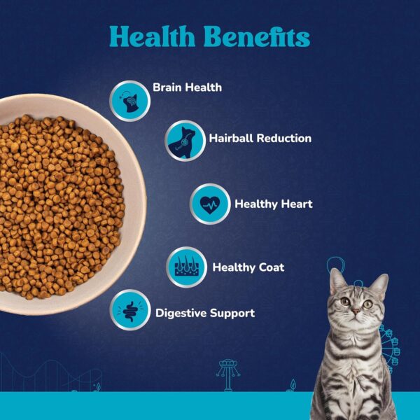 81soxjEUxZL._SL1500_.jpg Fresh Fish & Shrimp Adult Dry Cat Food 1 Kg | Fresh & Natural Ingredients | Highly Palatable | Supports Healthy Skin & Glossy Coat | Premium Nutrition for Adult Cats