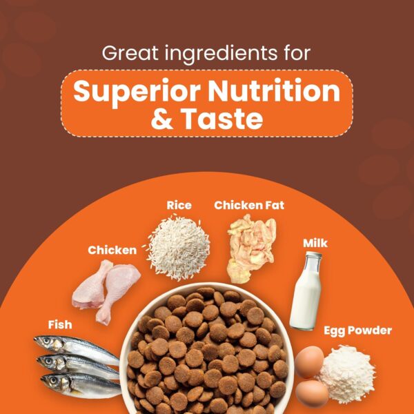 Kitten Food Dry 1kg | Ocean Fish and Chicken Flavour | 6 in 1 Growth Formula for Cat | High Protein & Taurine | For Strong Bones & Teeth, Healthy Heart, Sharp Vision, Soft Skin & Shiny Coat