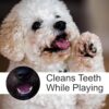 Foodie Puppies 2in1 Dog Toy Combo - (9inch Bone + Claw Ball) | Natural Latex Rubber Toys for Medium to Large Dogs | Durable, Chewing, Fetching, Playing, Teething & Training Chew Safe Play Toy