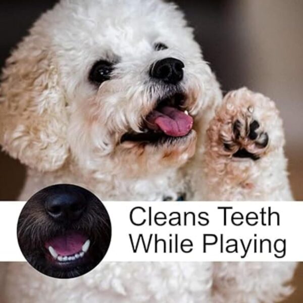 Foodie Puppies 2in1 Dog Toy Combo - (9inch Bone + Claw Ball) | Natural Latex Rubber Toys for Medium to Large Dogs | Durable, Chewing, Fetching, Playing, Teething & Training Chew Safe Play Toy