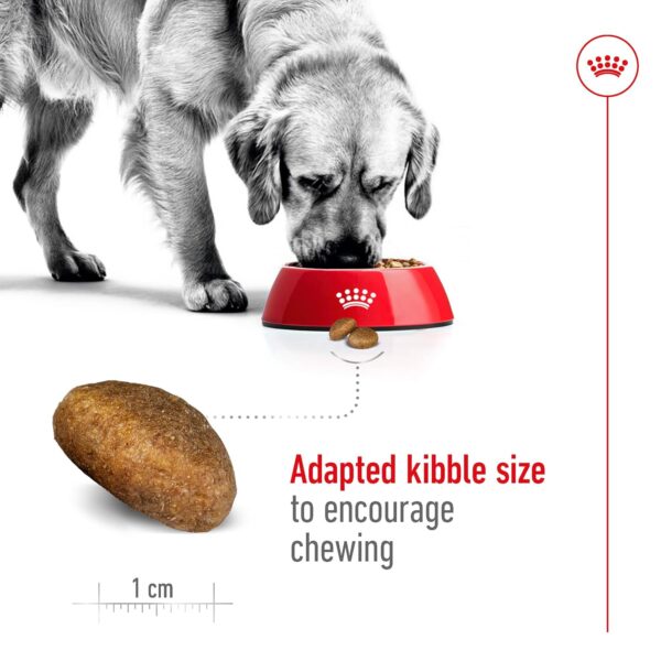 Royal Canin Maxi Adult Dog Food, 220 Grams, Dry Food, Supports Digestive Health & Optimal Health, Provides Bone & Joint Support
