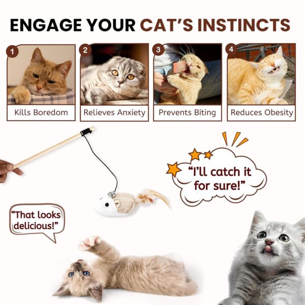 81uT9sRzI6L._SL1500_.jpg Foodie Puppies Cat Teaser Playing Stick Wooden Cat Wand Toy for Cats and Kittens - (Mouse-Bell - 40cm), Interactive Feather Toy, Wood Teaser Wands, Fun Catcher Cats Stick Toy, Kitty Activity Teaser