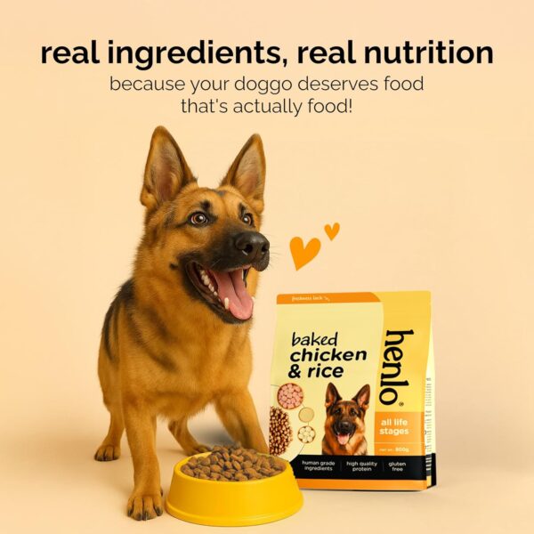 81ua39ro9rL._SL1500_.jpg Henlo Baked Chicken & Rice Dry Dog Food | 100% Human Grade Ingredients | 800G