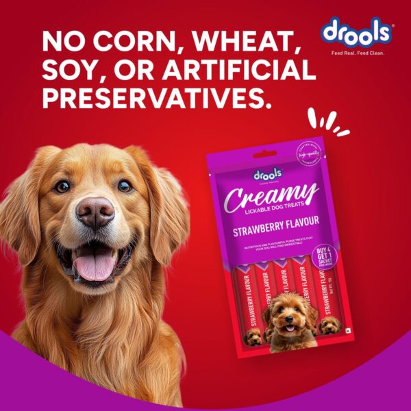 81vR6aqHE9L._SL1500_.jpg Drools Dog Treats, Creamy Strawberry 5 Sticks Tasty & Nutritious Snack for All Breeds, (15g x5),75g, All Life Stages