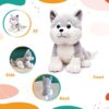 Webby Plush Husky Dog Stuffed Animal Puppy Soft Toy, Birthday Gift, Adorable Gifts for Kids and Adult, Glitter Eyes Soft Toy, 35CM (Grey) | for Boys & Girls