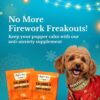 BARK OUT LOUD Festive Gift Box for Dogs | Premium Gift Hamper with Soft Chews, Shampoo, Supplements & Protein Bar | Ideal Gift for All Dog Breeds & Ages