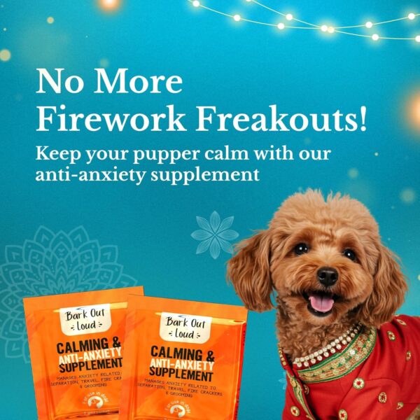 BARK OUT LOUD Festive Gift Box for Dogs | Premium Gift Hamper with Soft Chews, Shampoo, Supplements & Protein Bar | Ideal Gift for All Dog Breeds & Ages