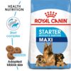 Royal Canin Maxi Starter, Mother & Babydog Food, 1 Kg, Dry Food, Supports Complex Natural Defence & digestive health, Provides Gestation/Lactation Support, Supports Easy rehydration
