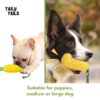 Corn & Bone Shape Dog Chew Toy, Natural Rubber Dog Teething Toy, Dog Toy for Entertainment and Dental Benefits, for All Breed Dogs and Puppies (Corn)