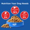 81x5NvDBK2L._SL1500_.jpg Chappi Adult (1+ Years) Dry Dog Food, Chicken & Rice, 20 kg, Complete and Balanced Food for Adult Dogs