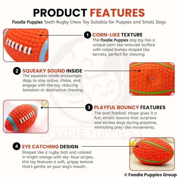 Foodie Puppies Interactive Latex Squeaky Chew Toy for Small to Medium Dogs (Teeth Rugby - Large) | Durable, Non-Toxic, Soft, Floating, Bouncing Pet Toy I Reduce Separation Anxiety (Design May Vary)