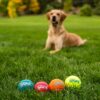 Outward Hound Squeaker Ballz Squeaky Tennis Ball Dog Toys – Medium (4 Pack) | Durable, High-Bounce, Multi-Color Balls for Fetch & Play | Safe, Non-Toxic Fun for Dogs of All Breeds