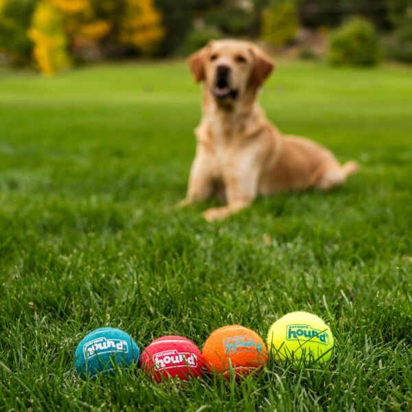 Outward Hound Squeaker Ballz Squeaky Tennis Ball Dog Toys – Medium (4 Pack) | Durable, High-Bounce, Multi-Color Balls for Fetch & Play | Safe, Non-Toxic Fun for Dogs of All Breeds