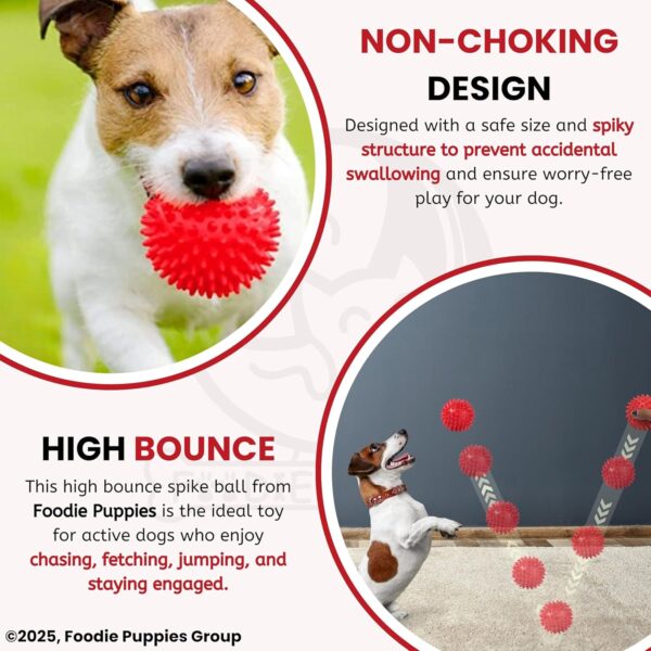 81yZvotPlWL._SL1500_.jpg Foodie Puppies Natural Rubber Spike Ball - 2.8inch/ 7cm | Suitable for Small to Medium Dogs and Puppies | Chewing, Teething, and Training Bouncy Ball Toy