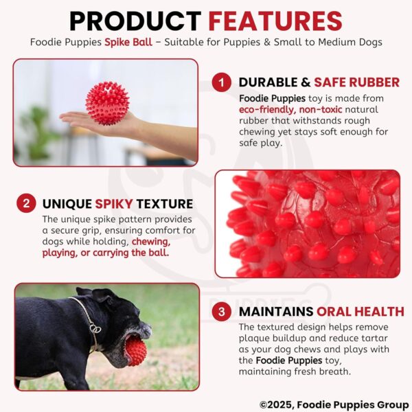81z0z0TN6AL._SL1500_.jpg Foodie Puppies Natural Rubber Spike Ball - 2.8inch/ 7cm | Suitable for Small to Medium Dogs and Puppies | Chewing, Teething, and Training Bouncy Ball Toy