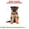 Royal Canin German Shepherd Puppy Food, 1 Kg, Dry Food, Supports Immune System & digestive health, Promotes Bone & Joint Health