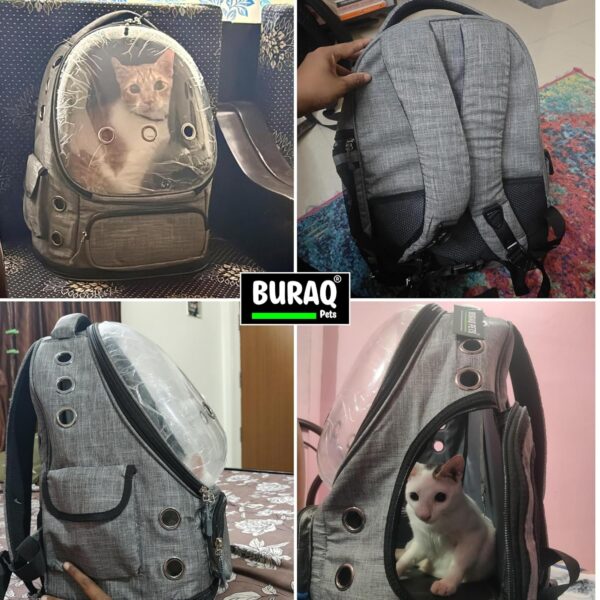 81zCOrCvbiL._SL1500_.jpg Buraq Bubble Transparent Window Cat Backpack Carrier, Breathable & Ventilated, Comfortable & Spacious for Cats, Durable & Stylish Design (Grey)