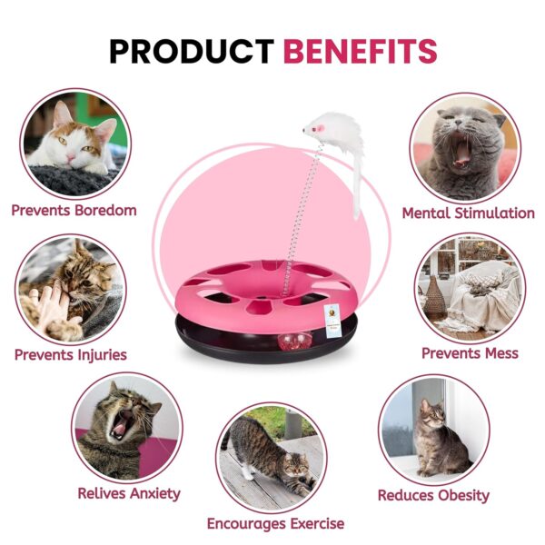 Foodie Puppies Cat Happy Circle with Ball Bell and Feather Mouse Attached for Cats and Kittens (Color May Vary) | Interactive Fun Toy for Exercise and Physical Health of Cats & Kittens (Happy Circle)