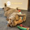 81zSnelDXaL._SL1500_.jpg RvPaws Catnip Fish Toys for Cats,1 Pcs Pack Catnip Toy Interactive Plush for Indoor Cats Toys with Bell - Scratch Chewing Teeth Grinding Pillow Cleaning Kick Bite Resistant for Kitten Toy