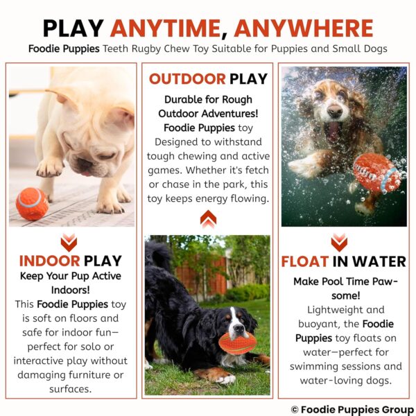 Foodie Puppies Interactive Latex Squeaky Chew Toy for Small to Medium Dogs (Teeth Rugby - Large) | Durable, Non-Toxic, Soft, Floating, Bouncing Pet Toy I Reduce Separation Anxiety (Design May Vary)
