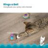 Petstages 701 Spin and Scratch Cat Catnip Toss and Bat Toy