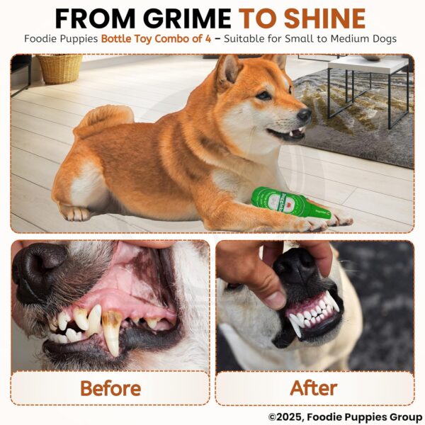 Foodie Puppies Dog Squeaky Crackling Plush Toy Combo of 4 (Whiskey, Dogrona, Doggieken, Doggweiser Bottle) | Non-Toxic, Stuffed, Teething, Playful, Interactive, Soft, Chew Toy for Small to Medium Dogs