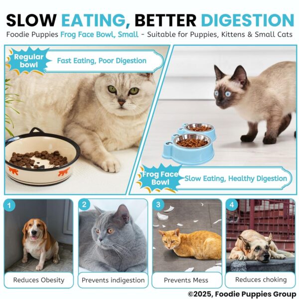 91RocFmbIPL._SL1500_.jpg Foodie Puppies 2-in-1 Food and Water Bowl for Cats and Kittens - (Frog Bowl, Small) 200ml Each | Non-Slip, Non-Toxic Pet Feeding Plastic Frog Face Shaped Double Bowl Food & Water Feeder