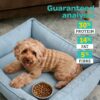 91aIyHPHDzL._SL1500_.jpg Good Dog Puppy Dry Dog Food | Oven Baked | Fresh Chicken & Eggs | 1.3 kg | Palatable Meal for Healthy Growth, Strong Bones, Immunity & Digestion | Nutritionally Crafted & Suitable for All Breeds