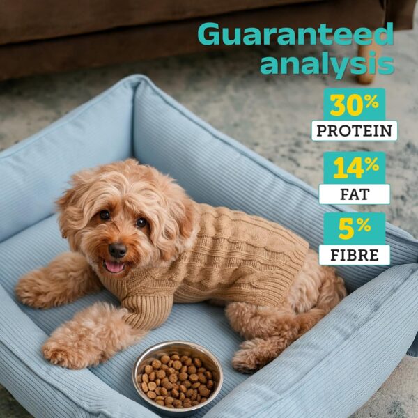 91aIyHPHDzL._SL1500_.jpg Good Dog Puppy Dry Dog Food | Oven Baked | Fresh Chicken & Eggs | 1.3 kg | Palatable Meal for Healthy Growth, Strong Bones, Immunity & Digestion | Nutritionally Crafted & Suitable for All Breeds