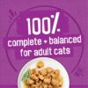 Purina Friskies Poultry Variety Pack Cat Food - (32) 11 lb. Box