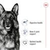 Royal Canin Maxi Adult Dog Food, 220 Grams, Dry Food, Supports Digestive Health & Optimal Health, Provides Bone & Joint Support