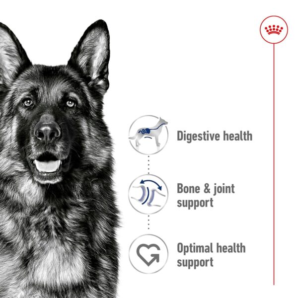 Royal Canin Maxi Adult Dog Food, 220 Grams, Dry Food, Supports Digestive Health & Optimal Health, Provides Bone & Joint Support