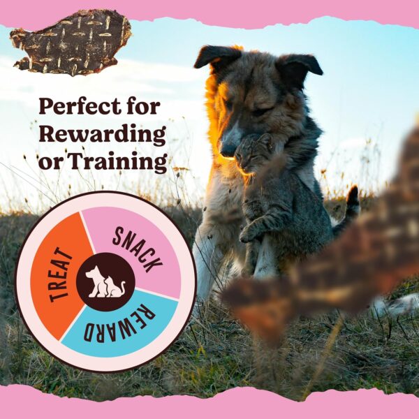 Kennel Kitchen Air Dried Dog Treats | Mutton Slices | 70g (Pack of 1) | Grain Free Natural Treats | Single Ingredient | Preservative Free