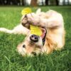 Goofy Tails Dog Toys, Rubber Dumbbell Treat Dispensing Toys for Dogs, Non-Toxic Chew Toys for Dogs, Ideal Interactive Dog Toy for All Breeds and Sizes