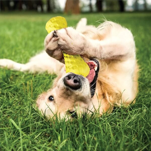 Goofy Tails Dog Toys, Rubber Dumbbell Treat Dispensing Toys for Dogs, Non-Toxic Chew Toys for Dogs, Ideal Interactive Dog Toy for All Breeds and Sizes