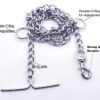 RvPaws Combo Nylon Dog Belt - 1 Inch Collar with Heavy Dog Chain 63 Inch Lengthy Dog Collar Chain Adjustable (Collar Neck Size 16-20 Inch) (Golden)