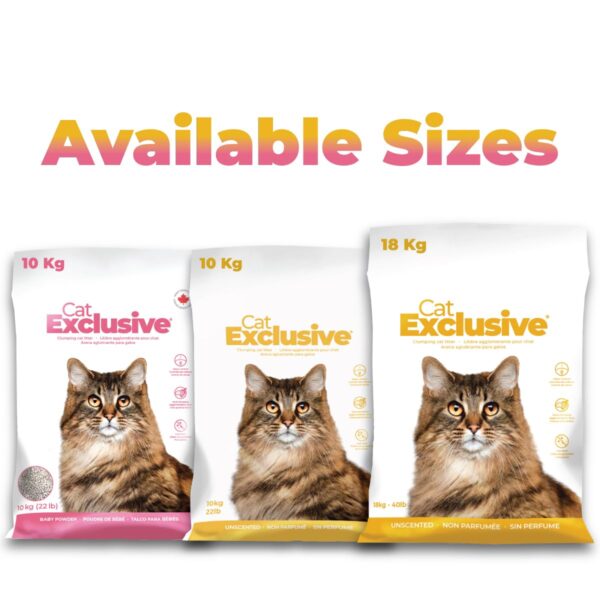 Clumping Cat Litter – Baby Powder Scent, Scoopable, Low Dust, Hard Clumps – All Breed Cats, Long-Lasting Odor Control, Easy to Clean (10 kg, Pack)