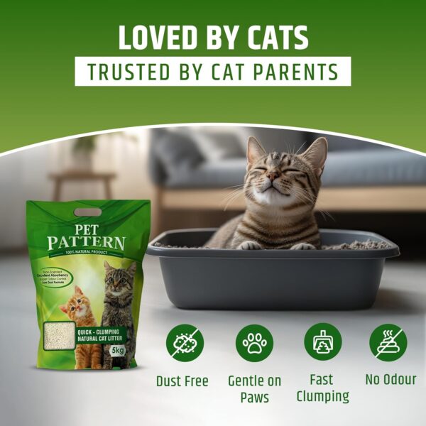 CAT Litter Sand for CAT 20KG, 99.99% Dust Free, Fast Clamping Natural Cat Litter 20kg (CAT Litter 20KG - Non Scented) DogsNCats - Authorised Partner